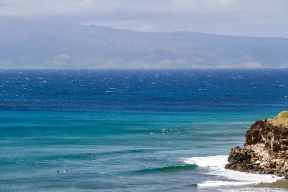 Casombie Kazino Pagalba